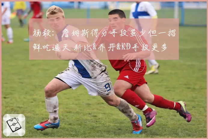 杨毅：詹姆斯得分手段虽少但一招鲜吃遍天 科比&乔丹&KD手段更多