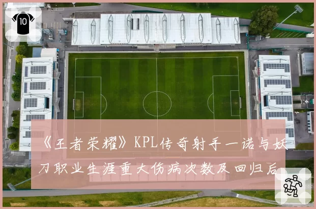 《王者荣耀》KPL传奇射手一诺与妖刀职业生涯重大伤病次数及回归后数据对比