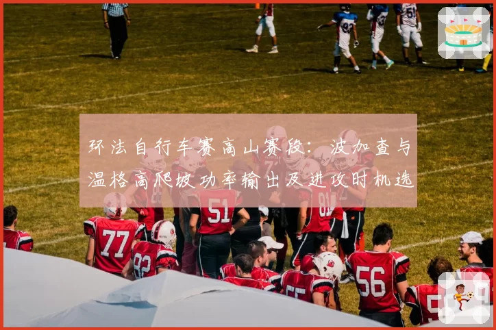 环法自行车赛高山赛段：波加查与温格高爬坡功率输出及进攻时机选择分析