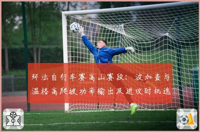 环法自行车赛高山赛段：波加查与温格高爬坡功率输出及进攻时机选择分析
