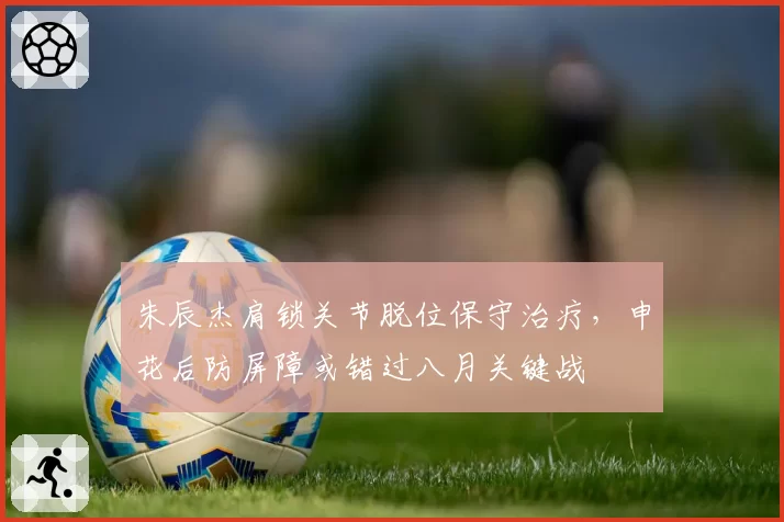 朱辰杰肩锁关节脱位保守治疗,申花后防屏障或错过八月关键战