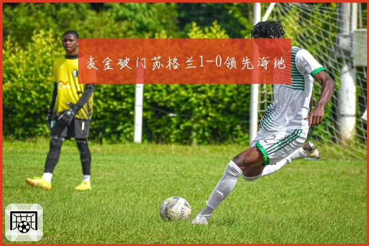 麦金破门苏格兰1-0领先海地