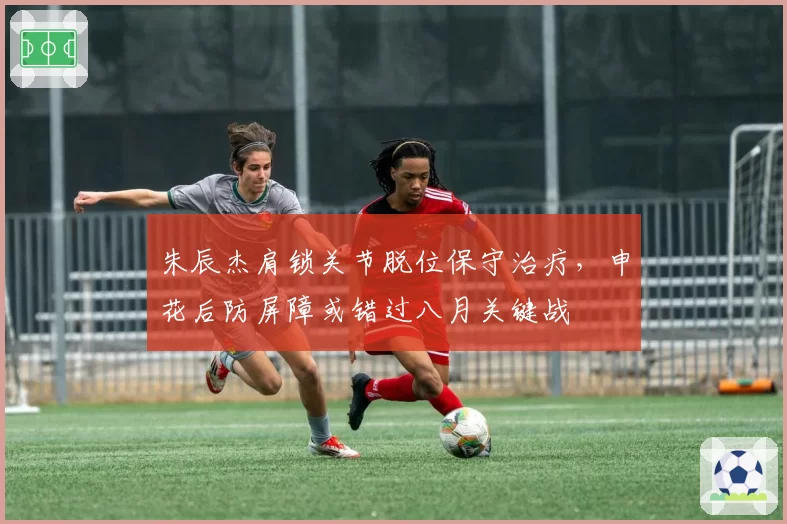 朱辰杰肩锁关节脱位保守治疗，申花后防屏障或错过八月关键战